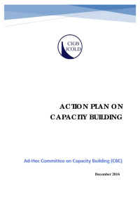 Action plan on capacity building